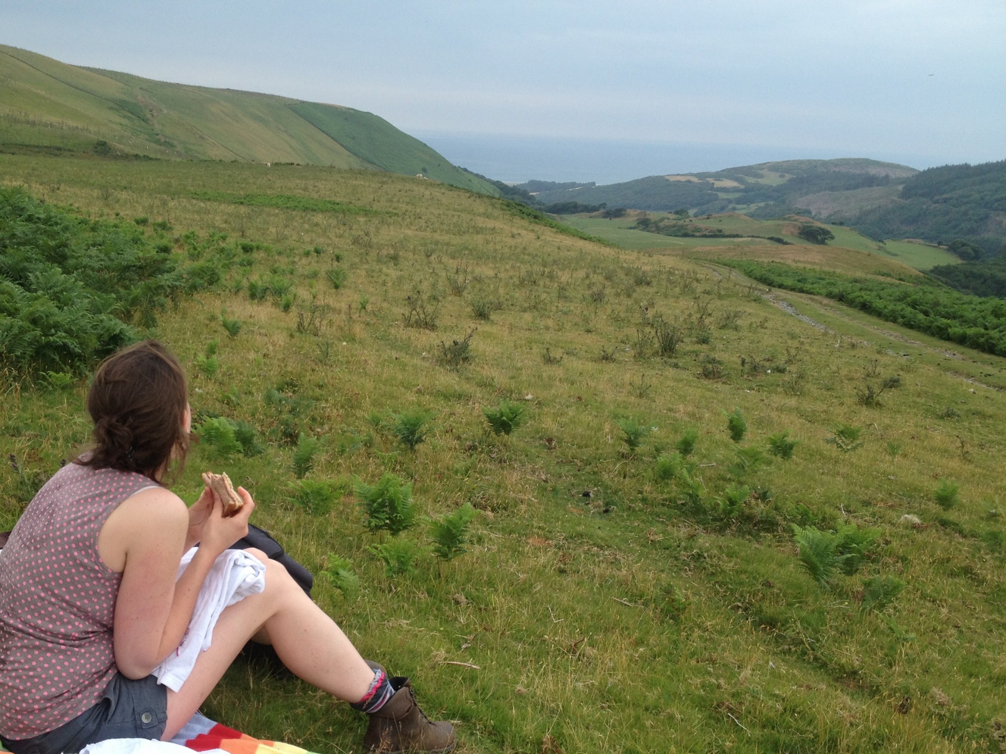 Having a picture around Aberdovey